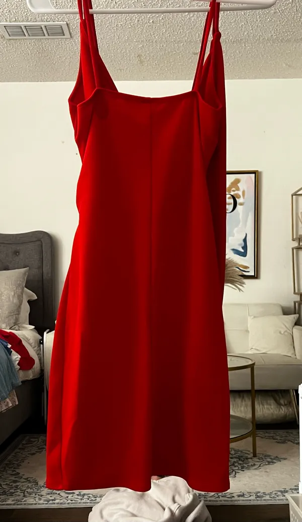 Blue blush red mini dress - Image 3