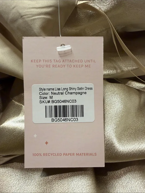 Birdy Grey NWT Lisa Long Shiny Satin Dress Neutral Champagne Size M - Image 7