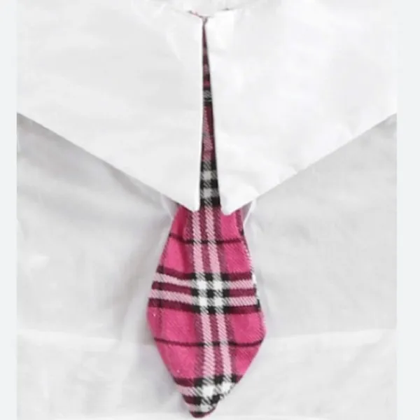 Hustler Hollywood Fuchsia Plaid Skirt and Tie Set - Image 8