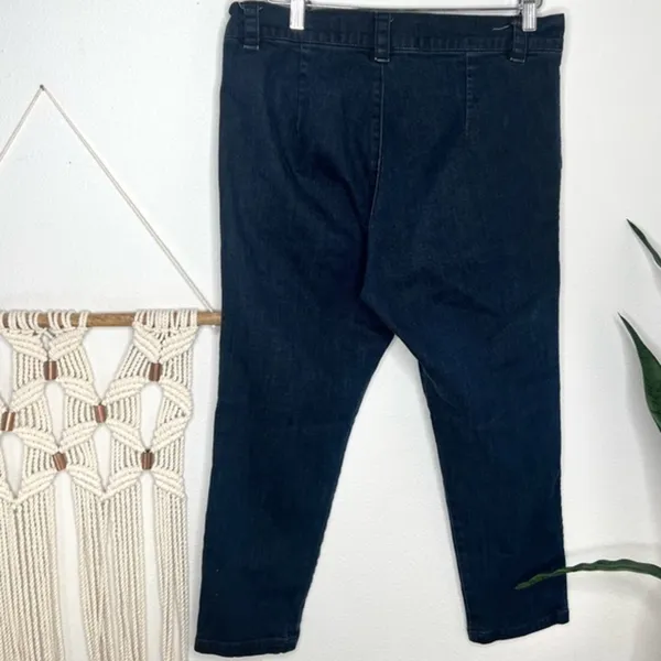Prairie Underground Cargo Denim Jeans Utility pants Dark Wash ankle pant pockets - Image 2