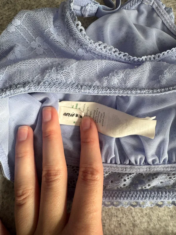 Aerie Picnic Lace Triangle Bralette - Image 3