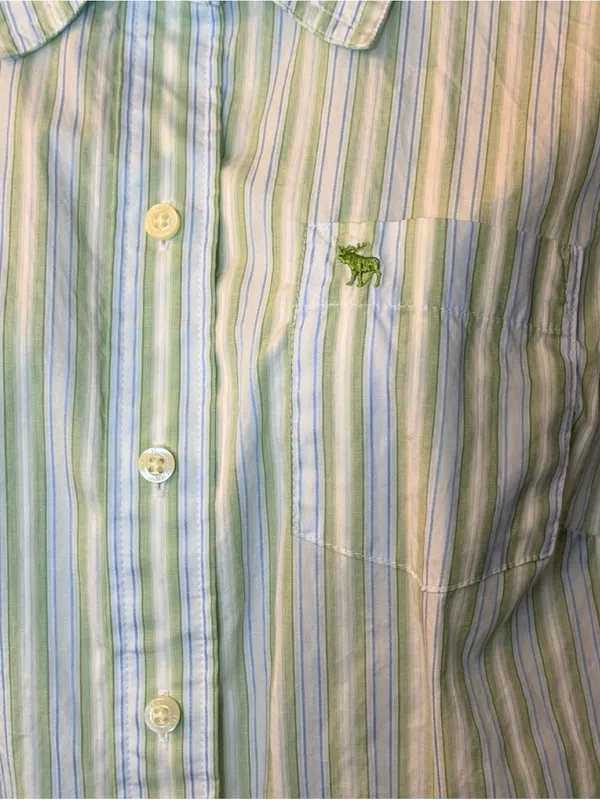 Vintage Ezra Fitch by Abercrombie & Fitch Y2K Button-Up 💚🩵 - Image 7