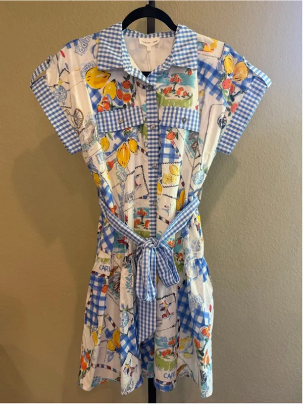 Entro Capri Lemon Mini Dress in Blue Size S - Image 2