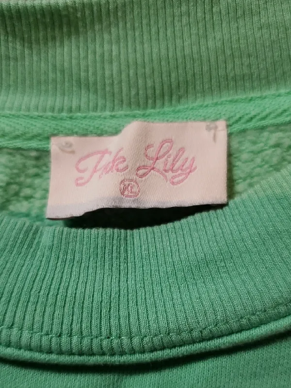 Pink Lily Mint Green Sweatshirt with Red Plaid Apple - Image 2