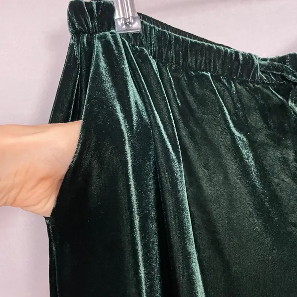 Marine Layer Bella Velvet Pants Slouchy Wide Leg Women Medium Green Drawstring - Image 17