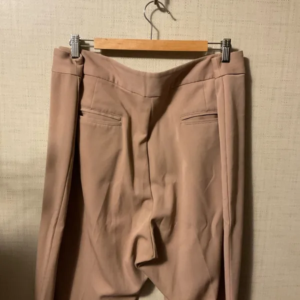 Roaman's Classic Tan Pants Size 22W - Image 2