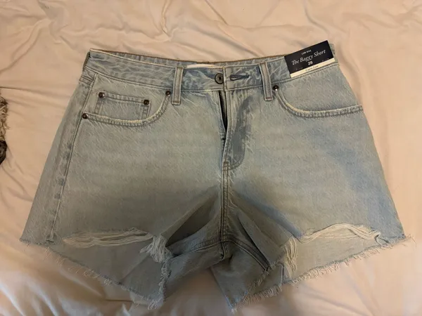 Curve Love Abercrombie Low Rise Baggy Shorts - Image 4