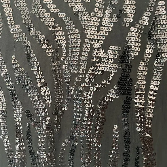 ZARA SEQUIN TOP the Raquel‎ top new with tags - Image 4