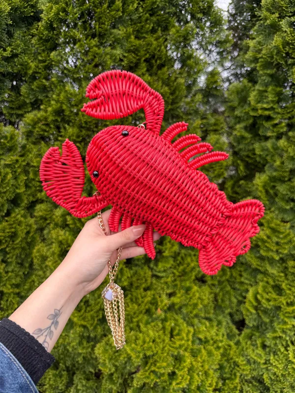 VIRAL RARE Lobster bag - Image 5