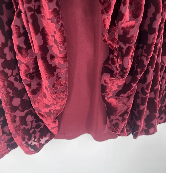 Tommy Hilfiger Burnout Velvet Dress Sz 6 Whimsigoth Burgundy Sheer Romantic Goth - Image 12