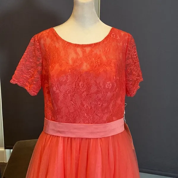 Women’s Full Length Tulle & Lace Sort Sleeve Dress Zip Up Back Size 14 NWT - Image 2