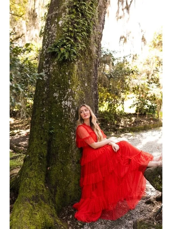 NWT Ivy City Co Whimsical Gown in Red Embroidered Tulle Ruffled Maxi Dress M - Image 3