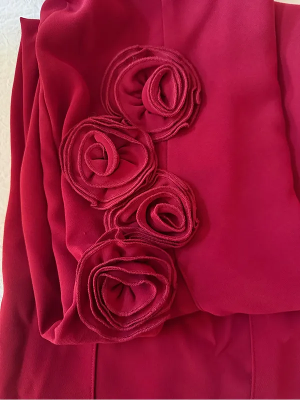 Amanda Uprichard x REVOLVE Wolfe Gown in Carnelian Red Formal Maxi Dress small - Image 6