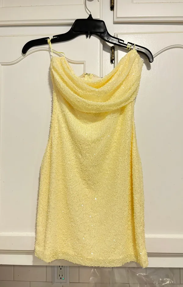Windsor Lena Strapless Mini Dress - Image 2
