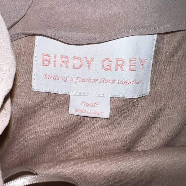 Birdy Grey Beautiful New Kira Taupe Chiffon Gown! - Image 4