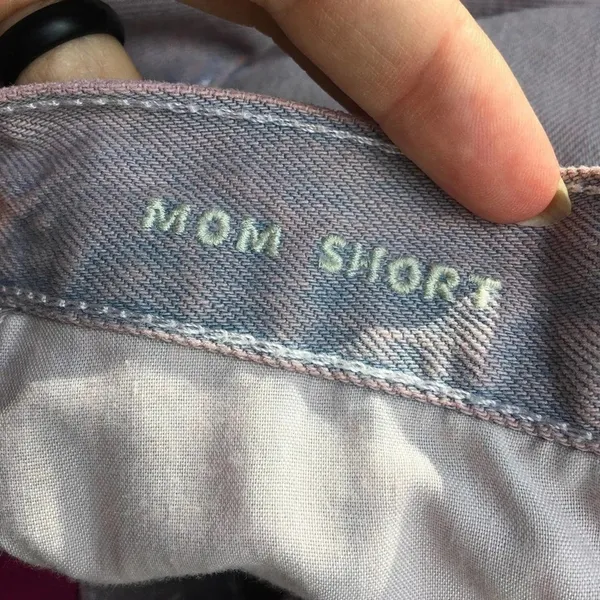 American Eagle Outfitters Women's Size 4 Purple Mom Shorts v6x - Image 3