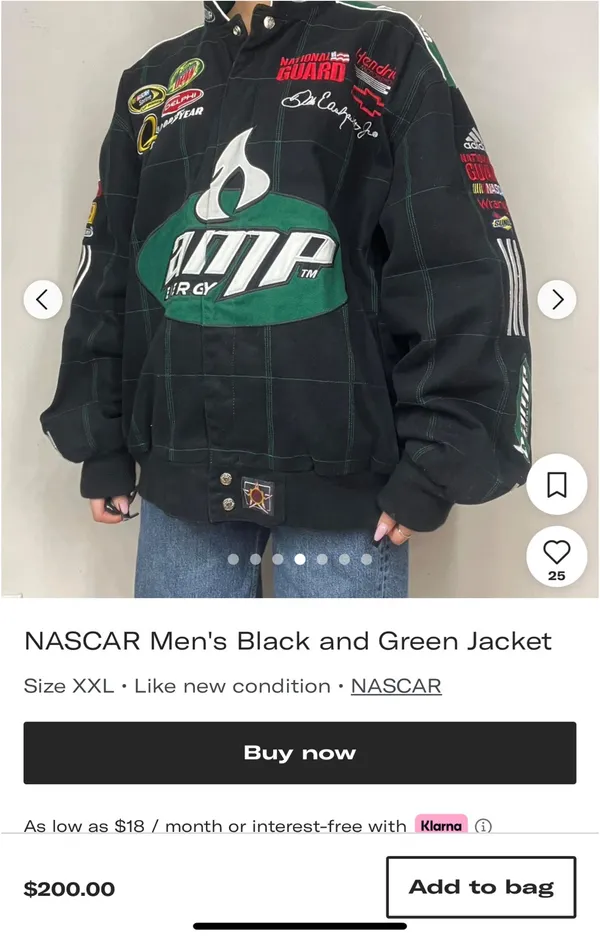 Dale Earnhardt Chase Authentics Jr. NASCAR - Image 3