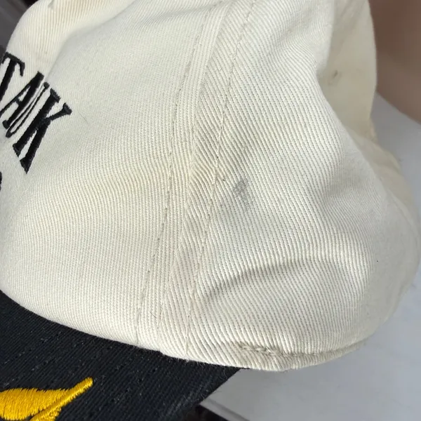 Anthropologie American Needle MONTAUK Embroidered Cotton Adjustable Logo Hat - Image 6
