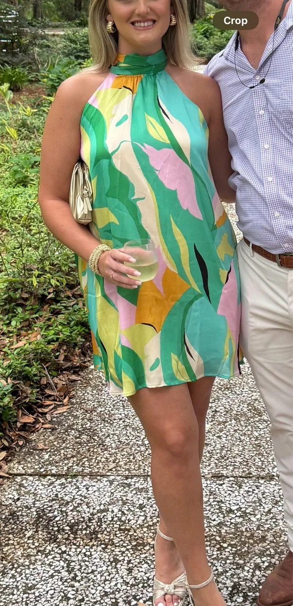 Dress Impeccable Pig - Image 2