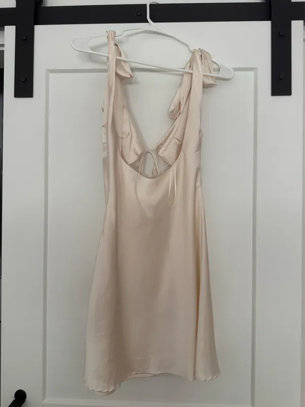 Champagne lioness mini dress - Image 2