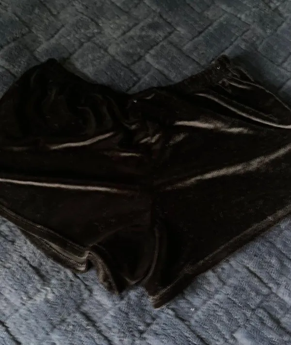 Velvet Shorts - Image 2