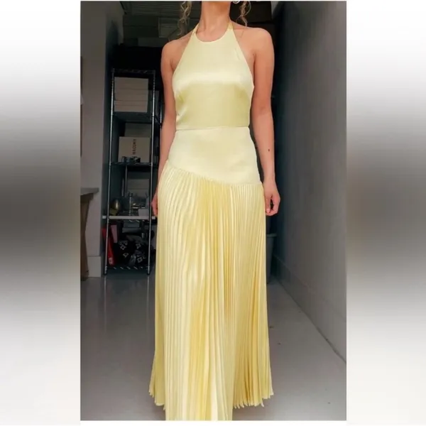 Alexis Saab Pleated Drop Waist Maxi Dress in Yellow S - Image 4