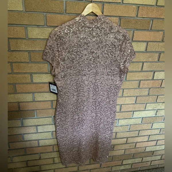NWT Marina Lace Cap Sleeve Scalloped V-Neck Sheath Dress Blush Pink Size XL - Image 5