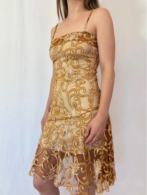 Gold Paisley Swirly Mesh Overlay Vintage Square Neck Formal Dress - Image 6