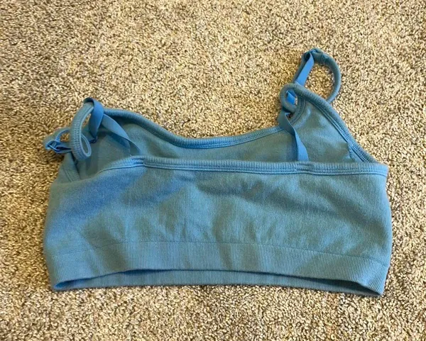 Aerie Blue Bra Top - Image 2