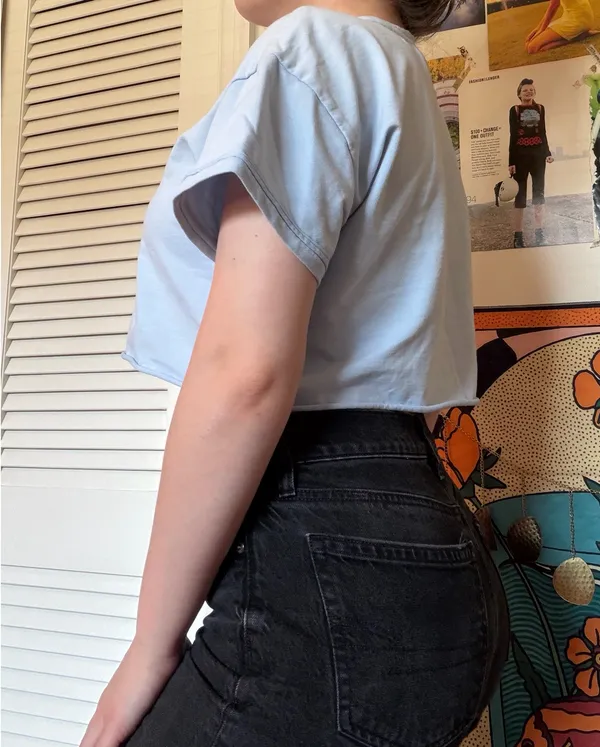 Baby Blue Crop Shein Top - Image 2