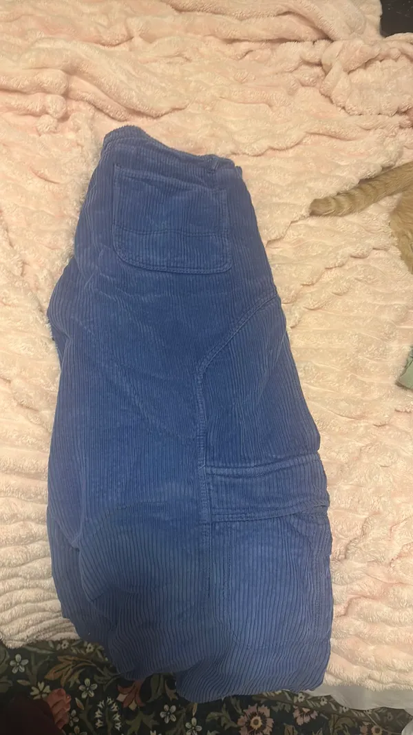 Urban Outfitters Corduroy BDG Pants - Image 2