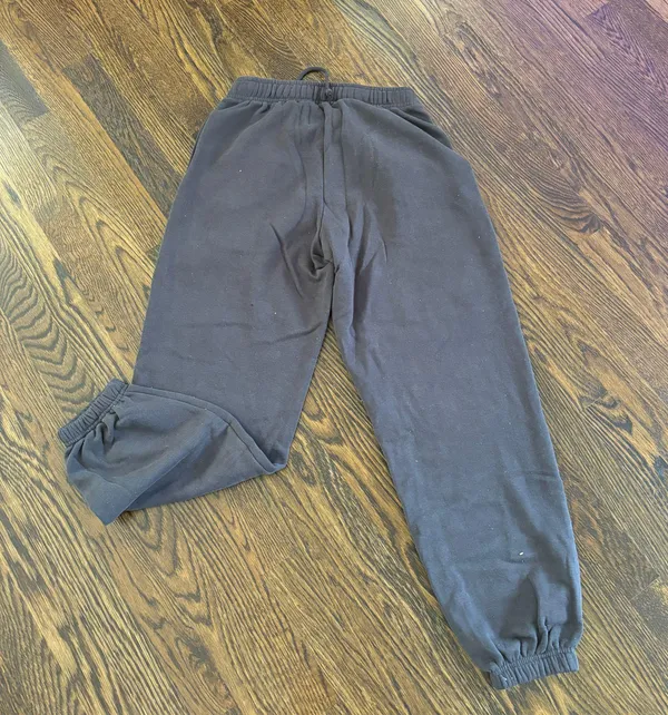 PacSun Land Rover Sweats - Image 3