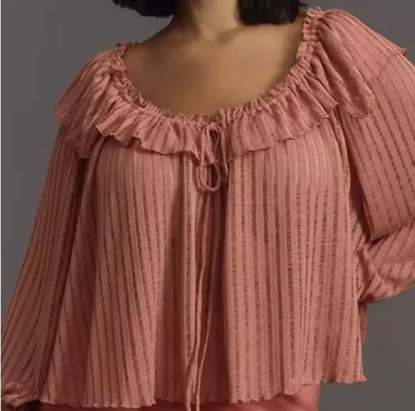 By Anthropologie Sheer Striped Blouse Top plus XXL 2X NEW BOHO rose long sleeve - Image 3