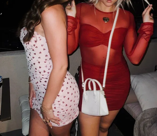 superdown Fifi Mesh Mini Dress - Image 6