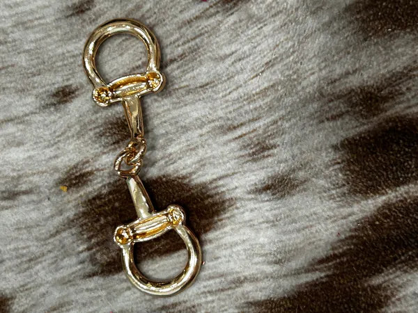 Gold pin & gold Snapple bit for Twillys Western style - Image 6