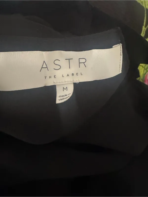 ASTR The Label High Neck Trapeze Black Chiffon Mini Dress Whimsygoth Medium - Image 6