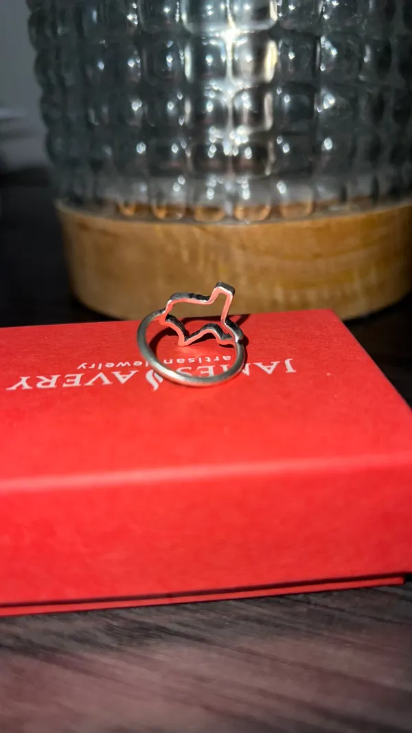 James Avery Texas Forged Ring - Image 4