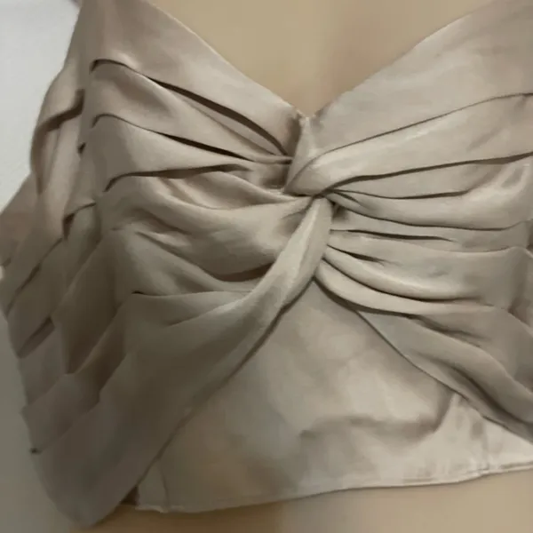 Express Satin Beige Crop Top - Image 3