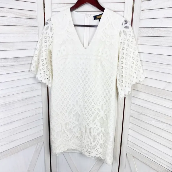 Alexia Admor Lace‎ Front Bell Sleeve Sheath Dress Small Ivory White Half Sleeve - Image 8
