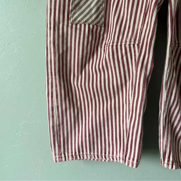 Free People Moxie Railroad Low Slung Barrel Leg Jeans Brick Stripe Size 31 - Image 5