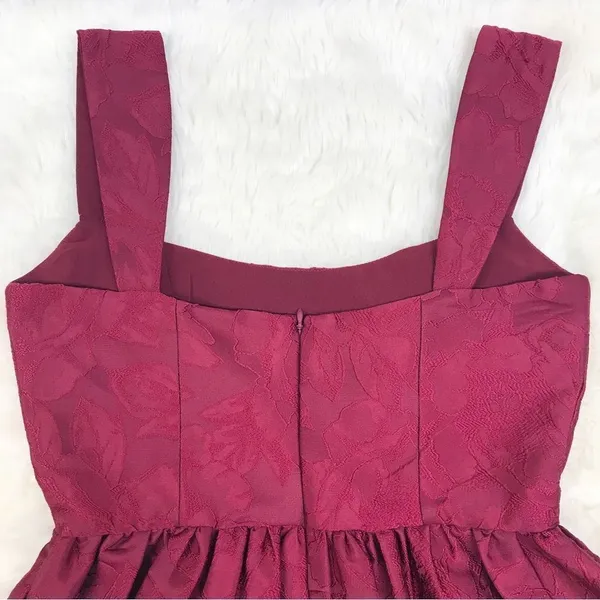 SACHIN & BABI Dress Size 0 Burgundy Mini‎ Fit & Flare Sleeveless Cocktail New - Image 9