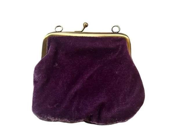 Disney Princess and the frog velvet coin pouch - Image 2