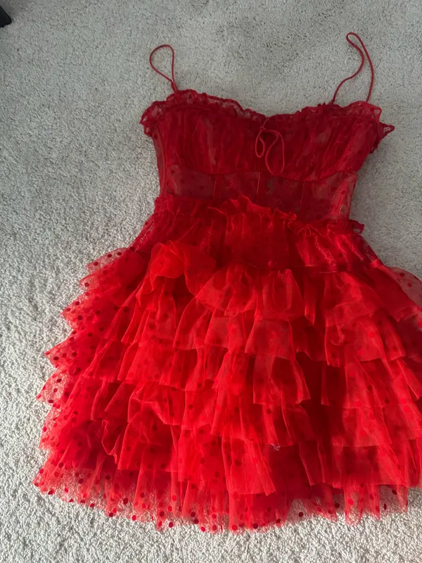 For Love & Lemons Dress - Image 5