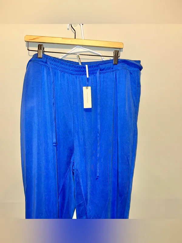 By Anthropologie Blue Modal Drawstring Lounge Trouser Pants XL - Image 3