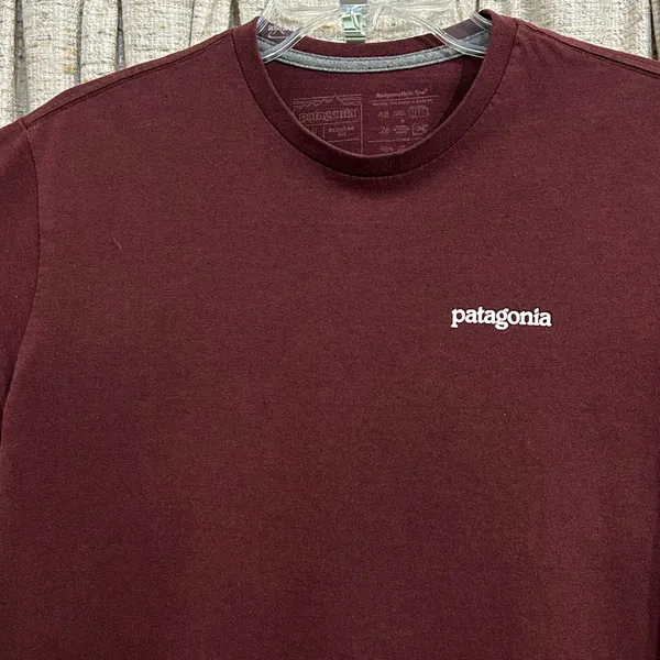 Patagonia Fitz Roy Horizons Responsibili Tee - Image 2
