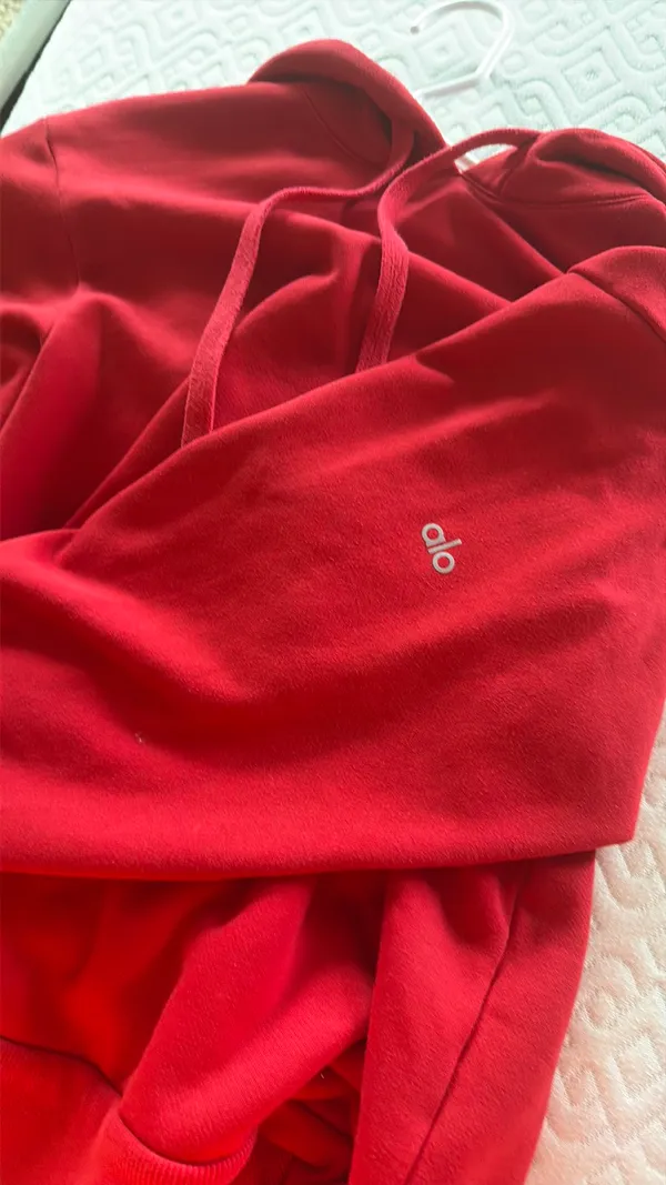 Alo Yoga Hoodie - Image 5