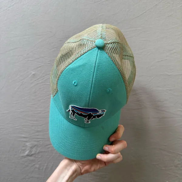 Patagonia Fitz Roy Bison Trucker Hat - Image 4