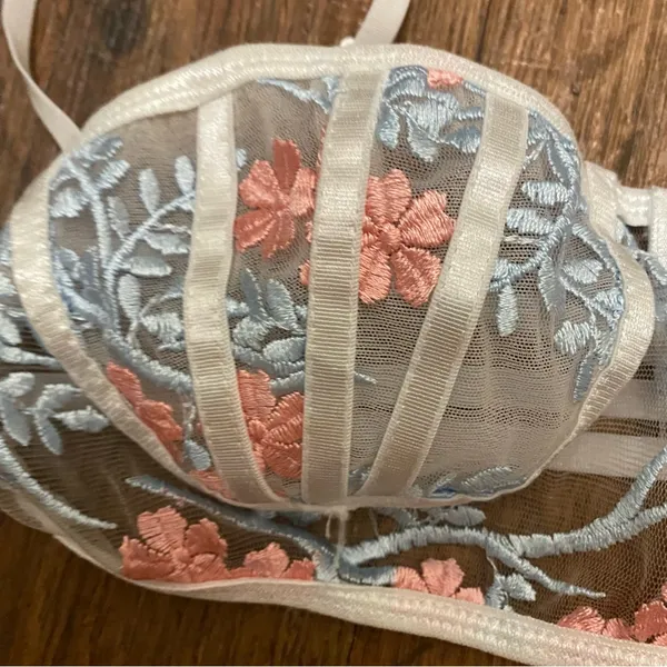 Shein Womens Bra Bralette S Small 34” Beige Sheer Pink & Blue Embroidered Floral - Image 3
