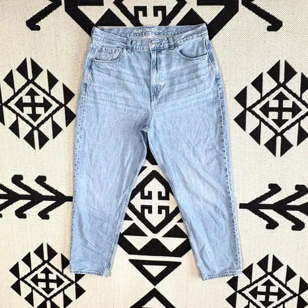 American Eagle x The Jeans Redesign Mom Jean in Washed Blue Size 14 - Image 4