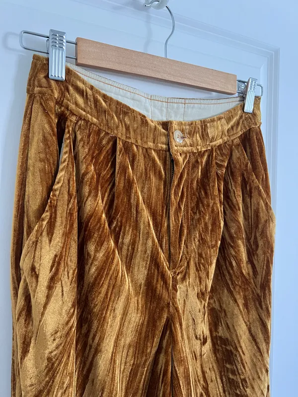 Free People Velvet Pants - Image 4